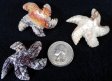 Soapstone Starfish, Small - 5 Pieces