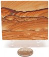 Sandstone Picture #10
