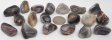 Botswana Agate, Grey, Tumble Polished - 1/2 Pound