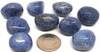 Blue Coral, Tumbled Stone - 1/5 Pound