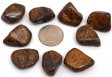 Bronzite, Tumble Polished - 1/5 Pound