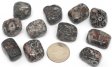 Crinoid Fossil, Tumble Polished - 1/4 Pound