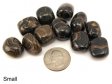 Stromatolite, Tumble Polished - 1/5 Pound