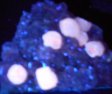 Fluorescent Calcite Specimen #4