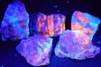 Fluorescent Sodalite/ Hackmanite - 5 Pieces