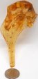 Amber Stalactite with Insect #12