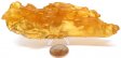Amber Specimen, XLarge #1