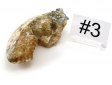 Calcite in Fossil Clam Shell,Medium #3