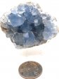 Celestite Specimen #7
