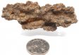 Fulgurite Specimen #3