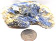 Kyanite Specimen # 1