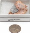 Opal in Rhyolite #1