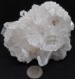 Quartz Crystal Cluster #4
