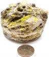 Sulfur Core #6