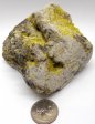 Sulfur Core #7