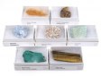 Gift Box Minerals & Fossils